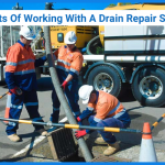 drain specialists