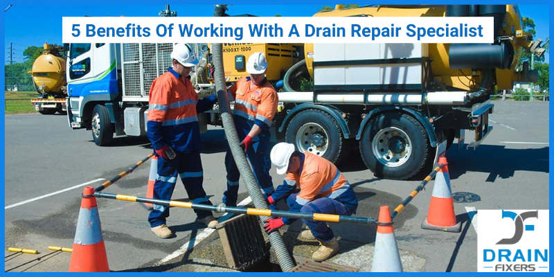 drain specialists