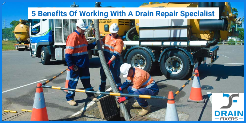 5 Benefits Of Working With A Drain Repair Specialist