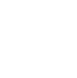 inspection icon
